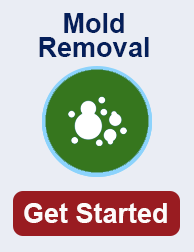 mold remediation in Sammamish